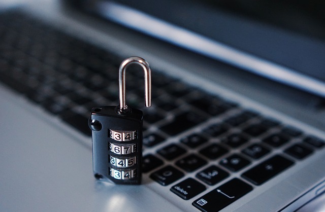 Cybersecurity Interpreter Services