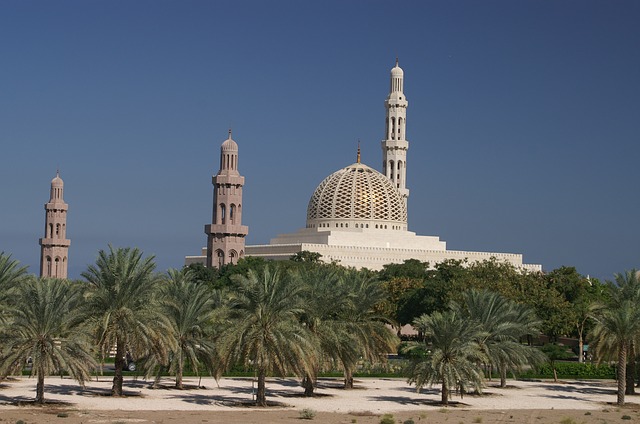 Translators & Interpreters in Muscat
